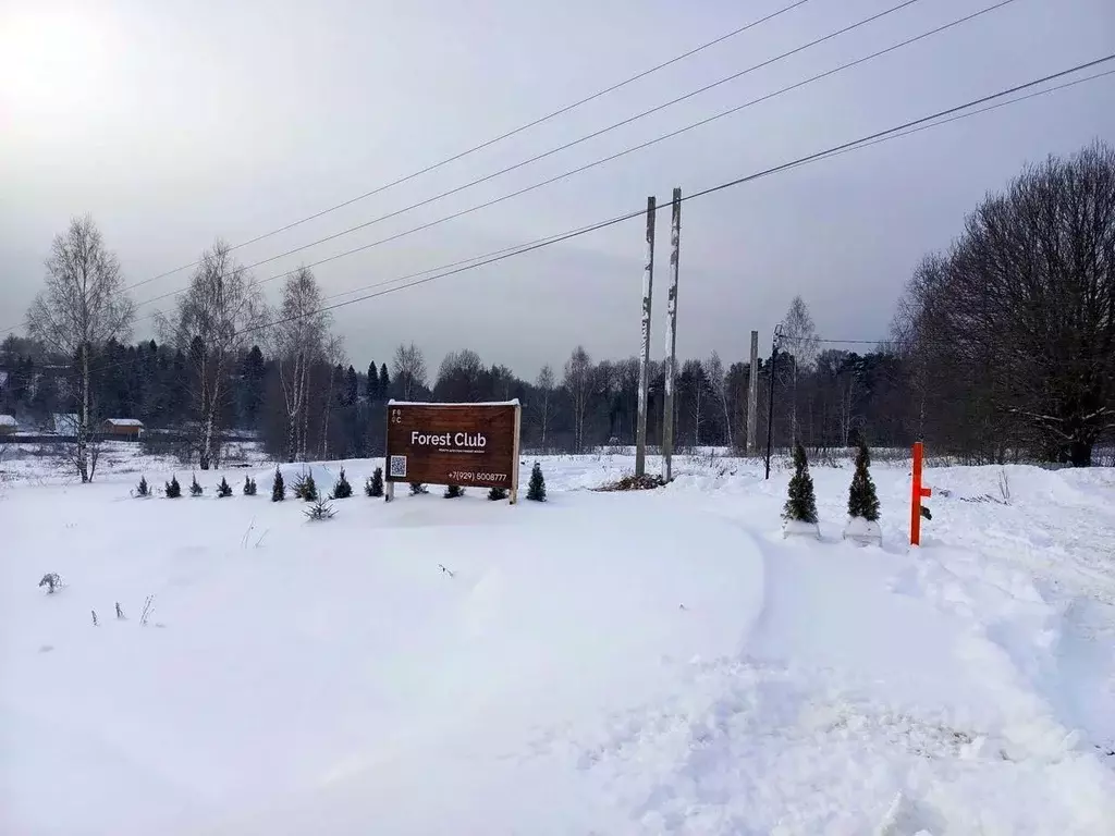 Участок в Московская область, Дмитровский городской округ, Форест Клаб ... - Фото 0