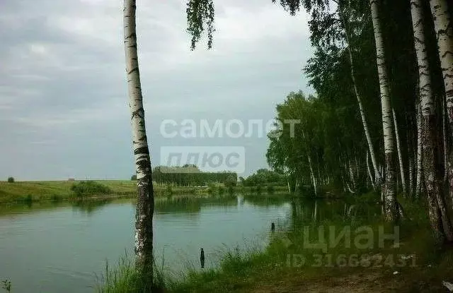 Участок в Нижегородская область, Богородский муниципальный округ, д. ... - Фото 1