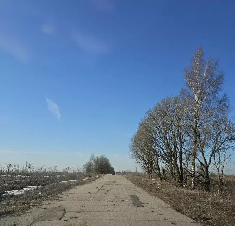 Участок в Московская область, Клин городской округ, д. Голышкино ул. ... - Фото 2