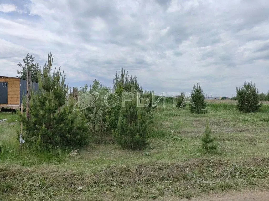 Участок в Тюменская область, Тюменский муниципальный округ, Садовые ... - Фото 2
