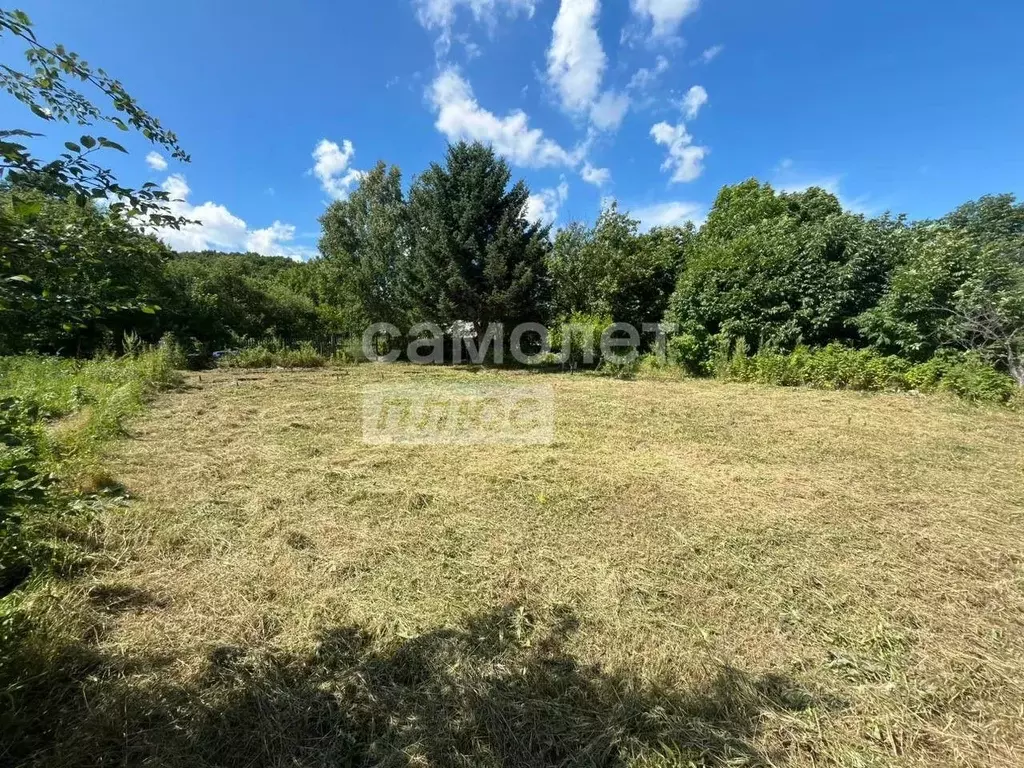 Участок в Хабаровский край, Хабаровский район, Мичуринское с/пос, ... - Фото 1