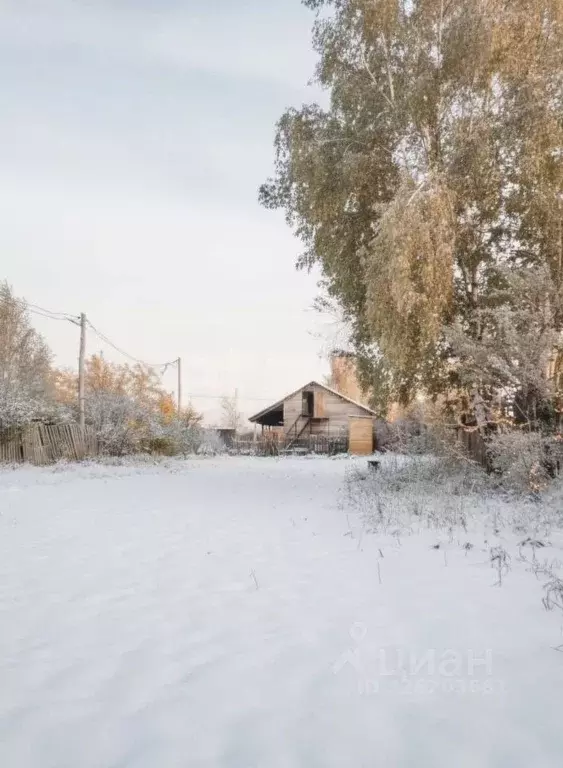 Участок в Красноярский край, Емельяновский муниципальный округ, Марс ... - Фото 2