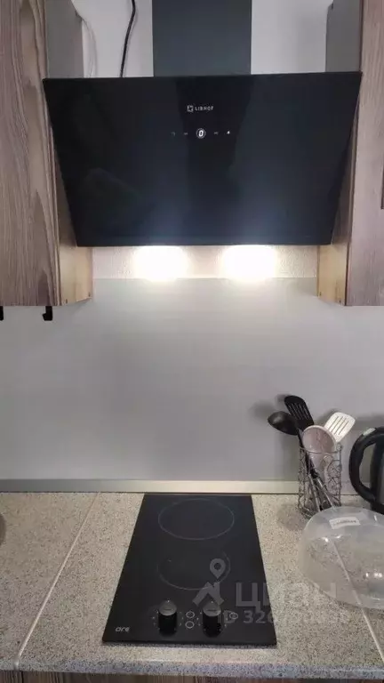 Студия Москва № 61 кв-л, 14 (29.0 м) - Фото 2