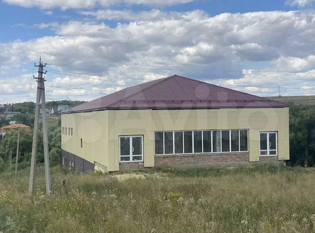 В продаже коммерческое помещение пл. 1000 кв м по адресу: Пенз.обл, с. ... - Фото 1