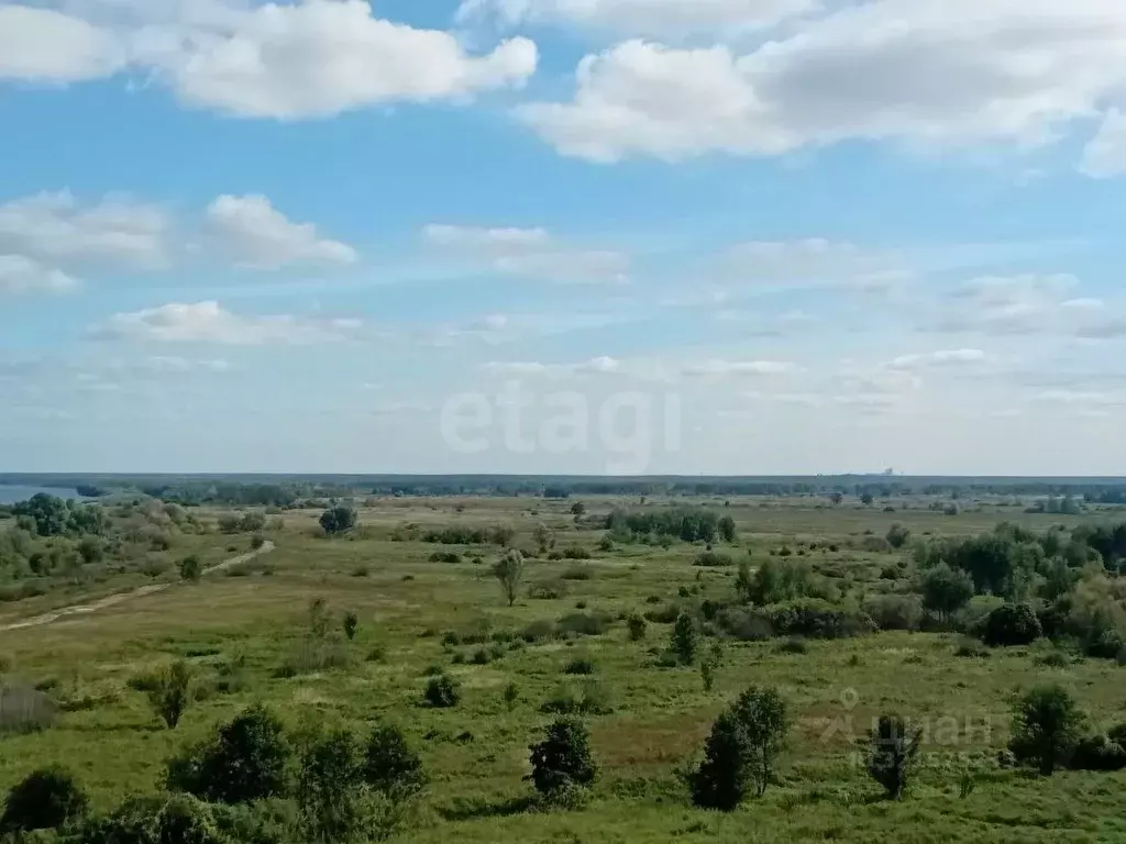 Участок в Владимирская область, Муром с. Панфилово,  (14.8 сот.) - Фото 1