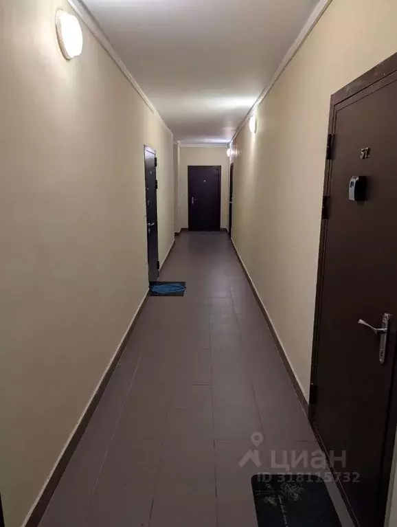 3-к кв. Ленинградская область, Сертолово Всеволожский район, ул. ... - Фото 1
