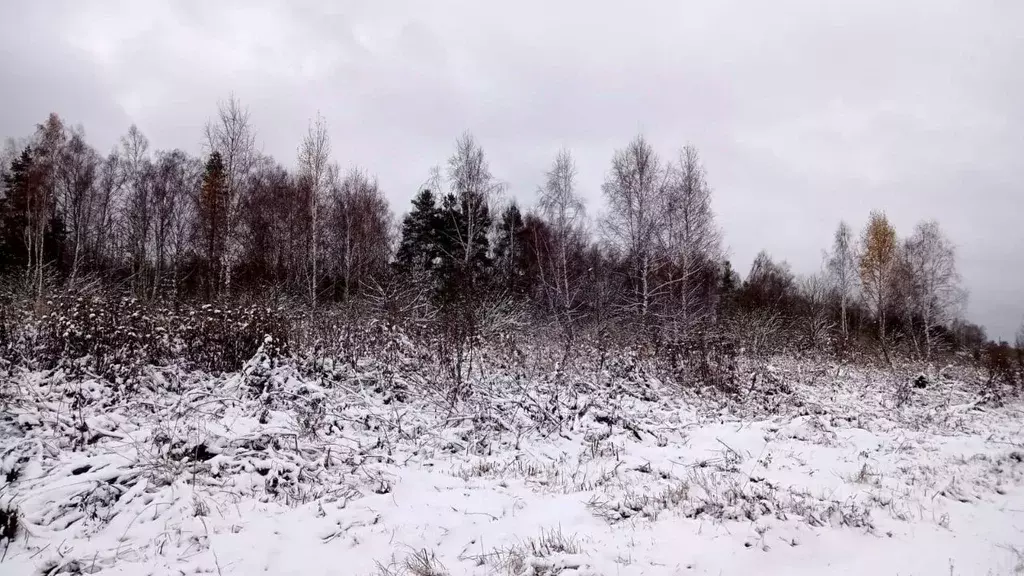 Участок в Московская область, Егорьевск муниципальный округ, д. Панино ... - Фото 0