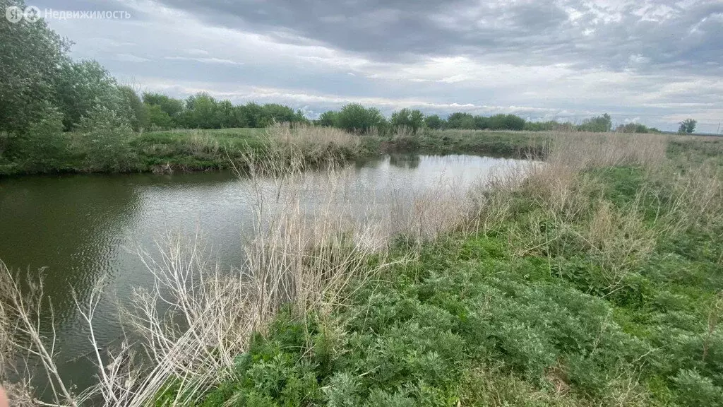 Участок в Оренбургский район, Пугачёвский сельсовет, село Паника, ... - Фото 1