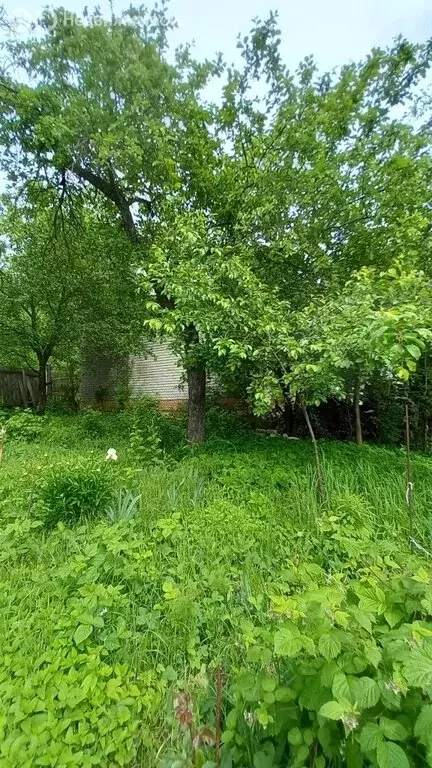 Участок в Нижний Новгород, Приокский район, СНТ Дружба (4.5 м) - Фото 1