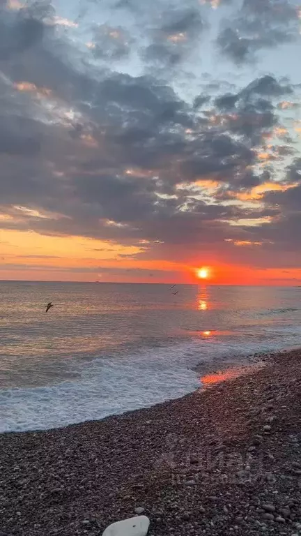 3-к кв. Краснодарский край, Сочи Центральный мкр, ул. Театральная, 11 ... - Фото 2