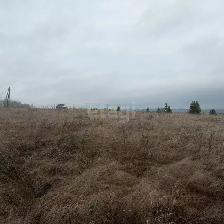 Участок в Башкортостан, Стерлибашевский сельсовет, с. Стерлибашево ул. ... - Фото 2