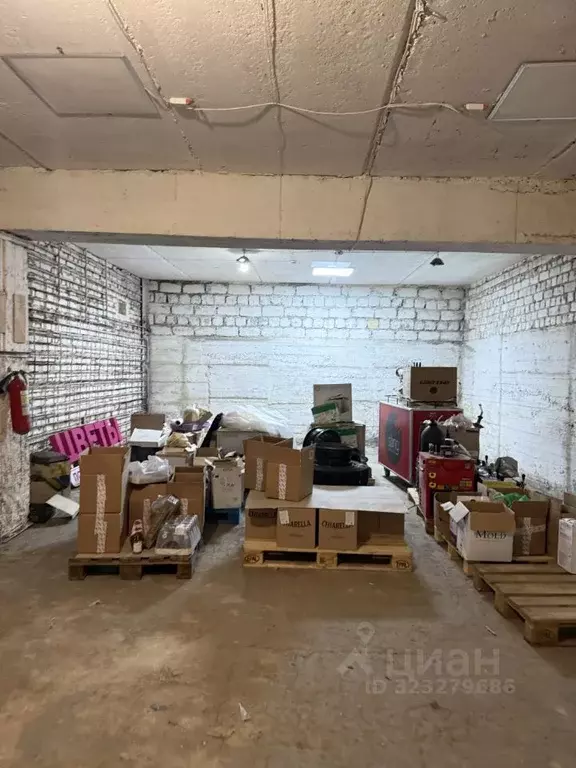 Торговая площадь в Краснодарский край, Сочи ул. Гагарина, 76 (100 м) - Фото 1