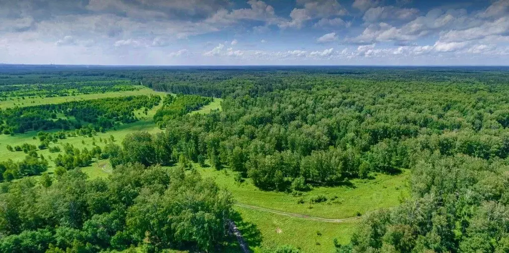 Участок в Новосибирская область, Новосибирский район, Кубовинский ... - Фото 1