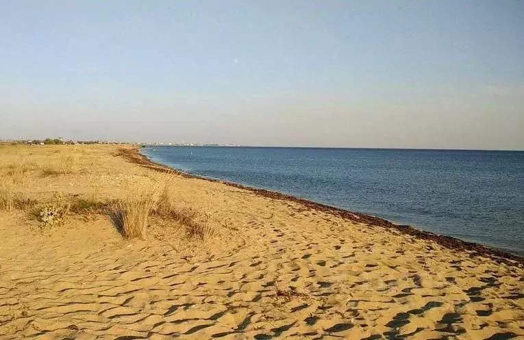 Участок в Крым, Сакский район, Уютненское с/пос  (60.0 сот.) - Фото 2