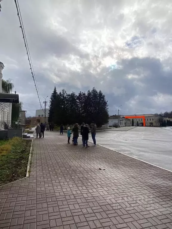 Помещение свободного назначения в Калужская область, Таруса ... - Фото 1