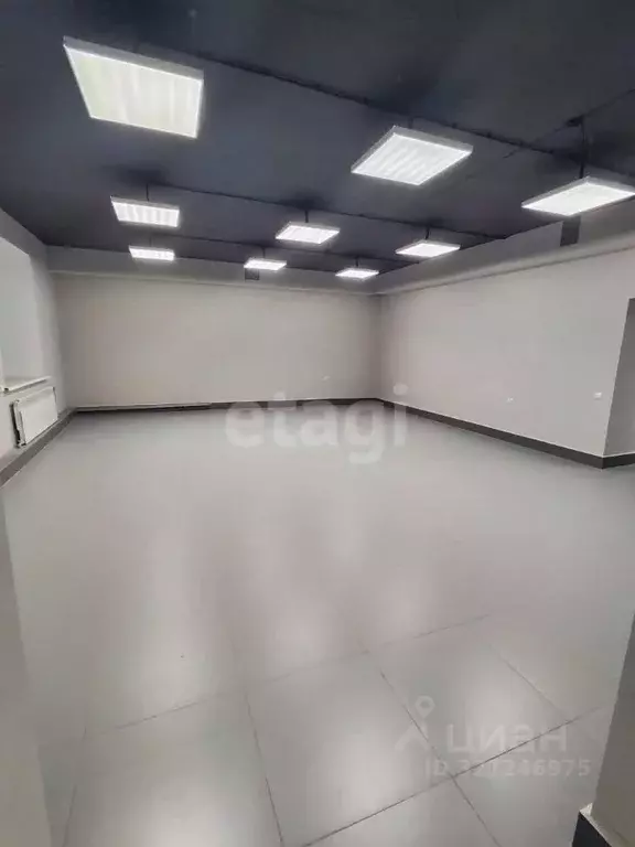 Помещение свободного назначения в Амурская область, Благовещенск ... - Фото 2