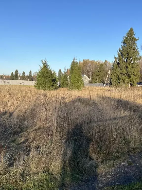 Участок в Московская область, Клин городской округ, Лесная Опушка дп  ... - Фото 1