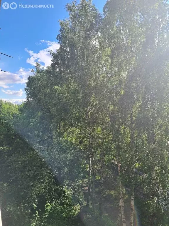 2-комнатная квартира: посёлок городского типа Правдинский, Полевая ... - Фото 1