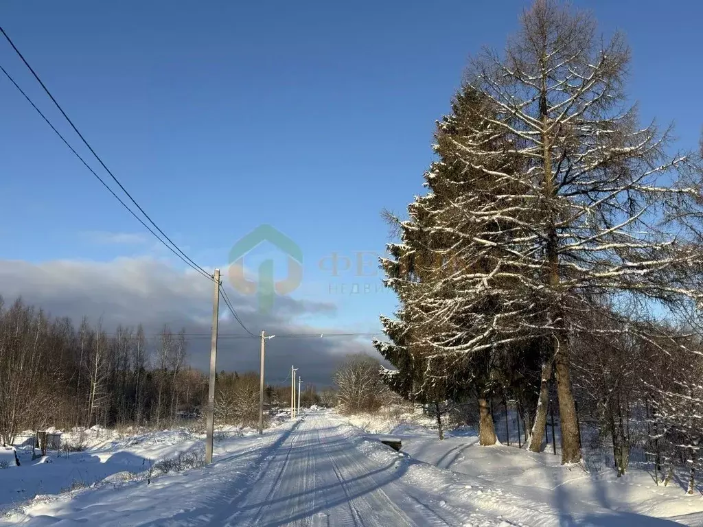 Участок в Ленинградская область, Кингисеппский район, Нежновское ... - Фото 1