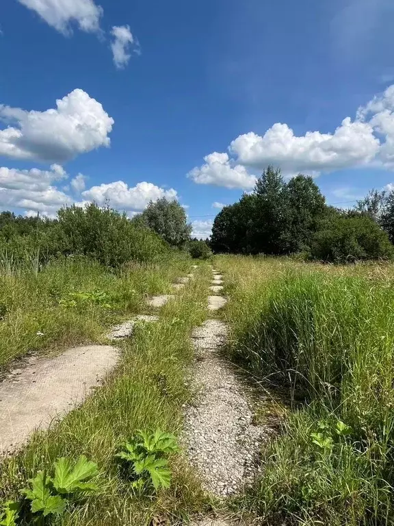 Участок в Московская область, Пушкинский городской округ, д. ... - Фото 2