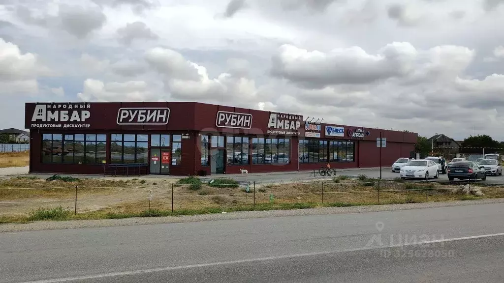 Торговая площадь в Крым, Кировское пгт ул. Молодежная, 21 (1146 м) - Фото 1