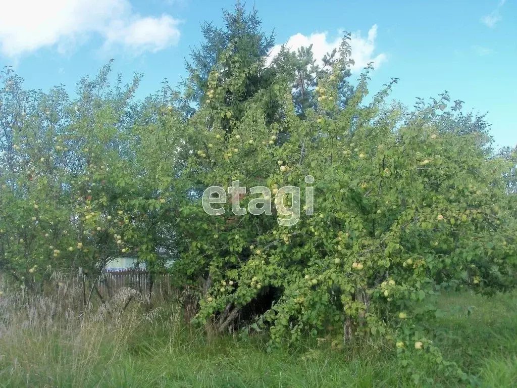 Участок в Вологодская область, Рассвет садоводческое товарищество  ... - Фото 2