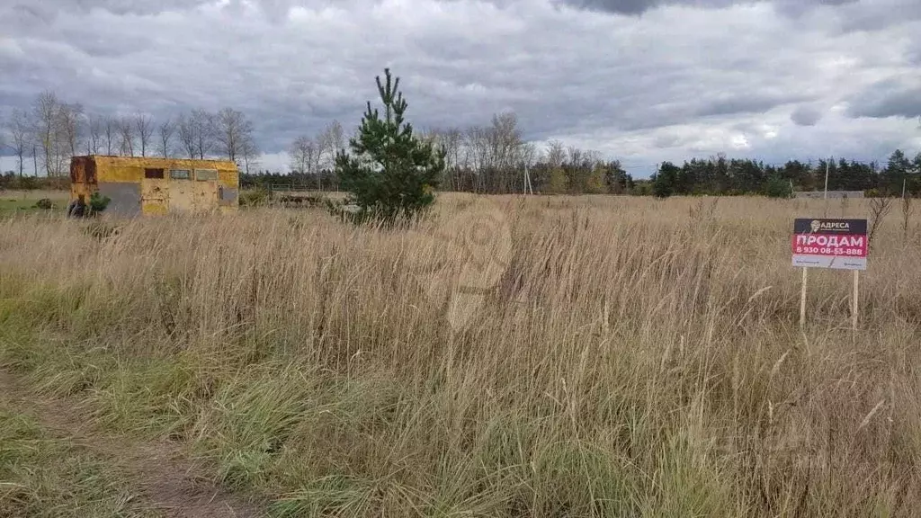 Участок в Белгородская область, Старый Оскол ул. Брусничная, 24 (15.0 ... - Фото 1