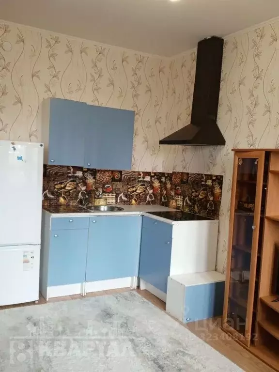 Студия Краснодарский край, Новороссийск ул. Видова, 210 (30.4 м) - Фото 2