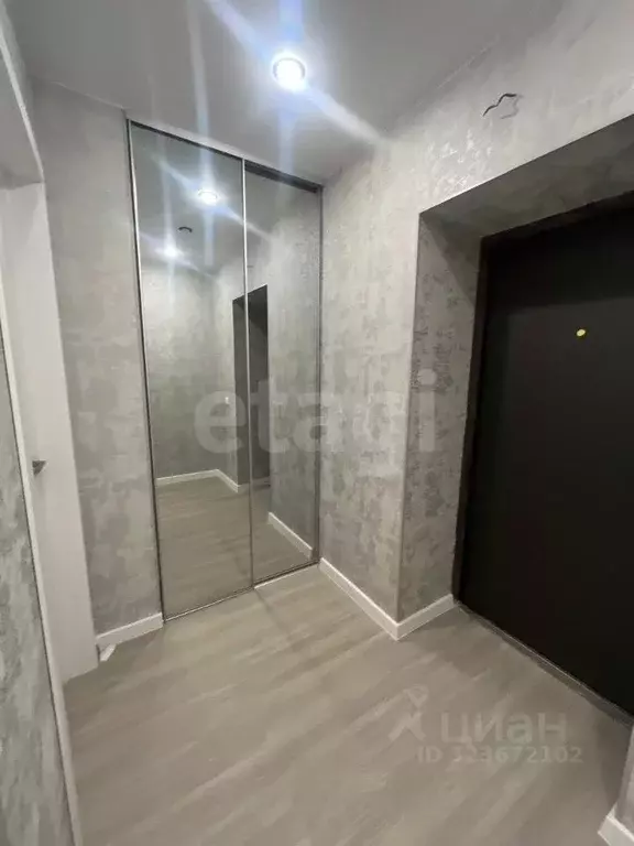 1-к кв. Амурская область, Благовещенский район, с. Чигири ул. ... - Фото 2