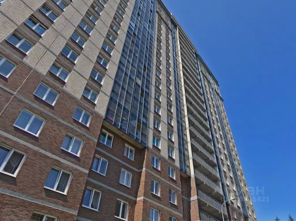 Студия Санкт-Петербург ул. Ивинская, 19к1 (35.5 м) - Фото 2