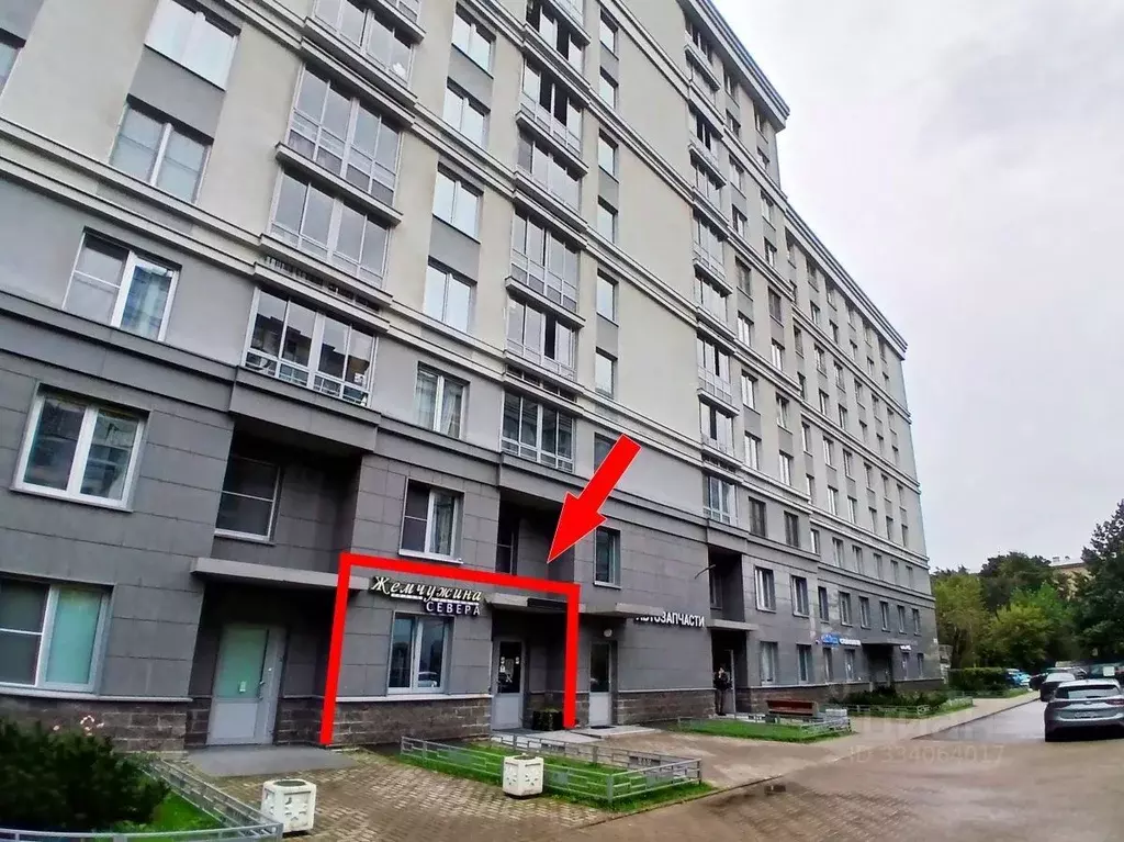 Помещение свободного назначения в Санкт-Петербург Московский просп., ... - Фото 2