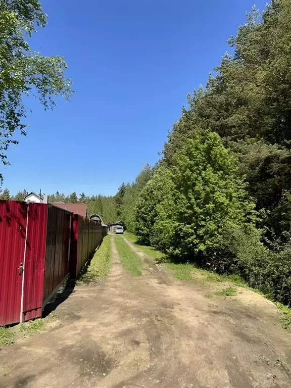 Дом в Ленинградская область, Сосновый Бор Дружба СНТ,  (50 м) - Фото 1