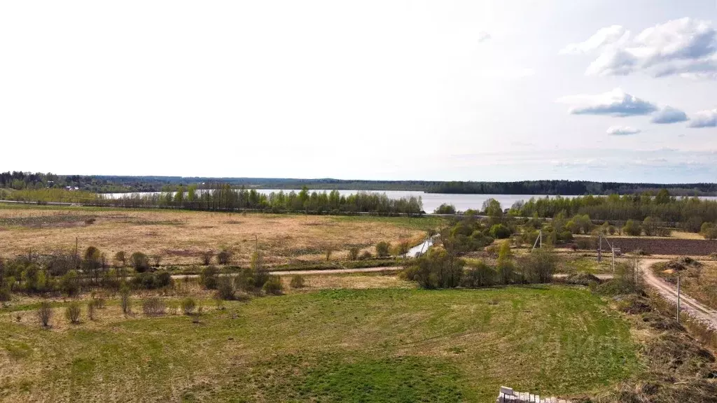 Участок в Ленинградская область, Выборгский район, Рощинское городское ... - Фото 2