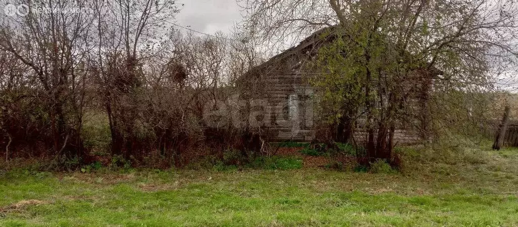 Участок в Тюменская область, Абатский муниципальный округ, деревня ... - Фото 2
