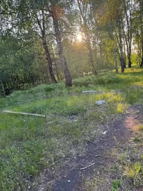 Участок 90 сот. (ИЖС) - Фото 1