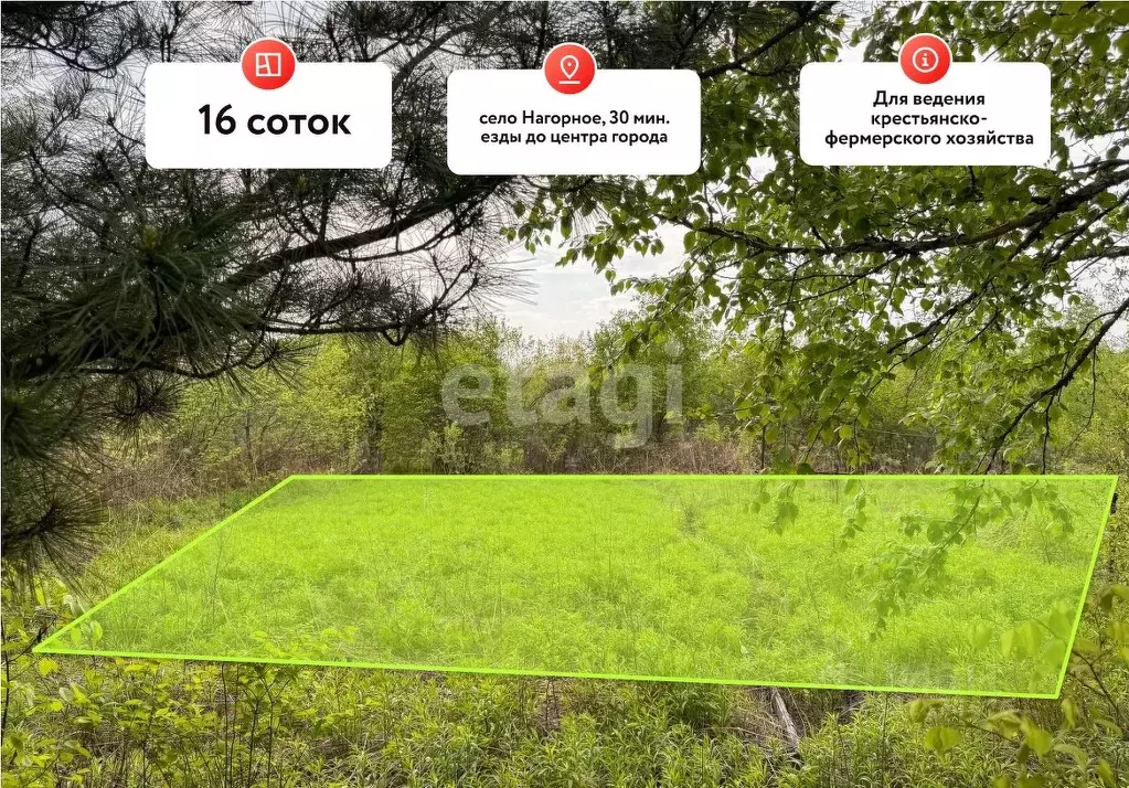 Участок в Хабаровский край, Хабаровский район, Мичуринское с/пос, с. ... - Фото 1