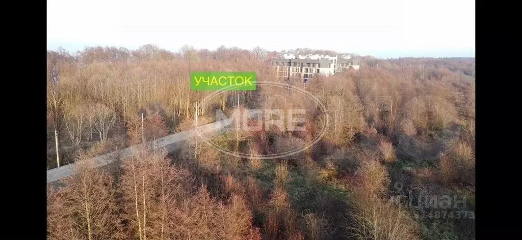 Участок в Калининградская область, пос. Приморье  (23.0 сот.) - Фото 0