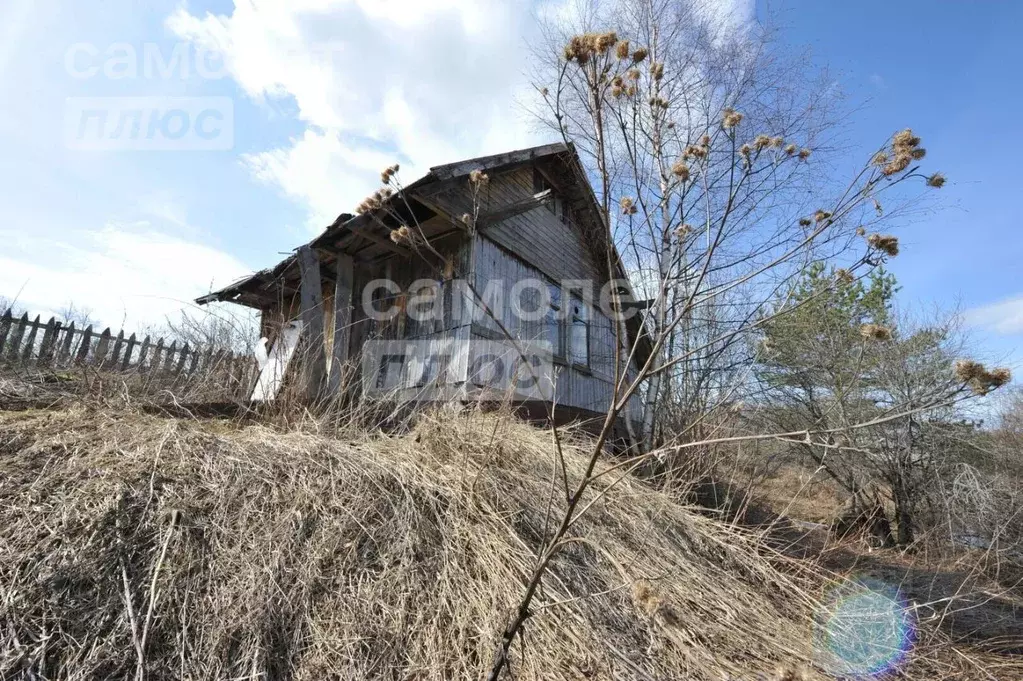 Участок в Вологодская область, д. Винниково 1 (8.0 сот.) - Фото 0