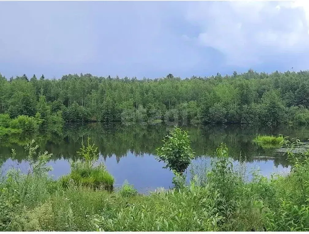 Участок в Татарстан, Зеленодольский район, Айшинское с/пос, Лесной ... - Фото 2