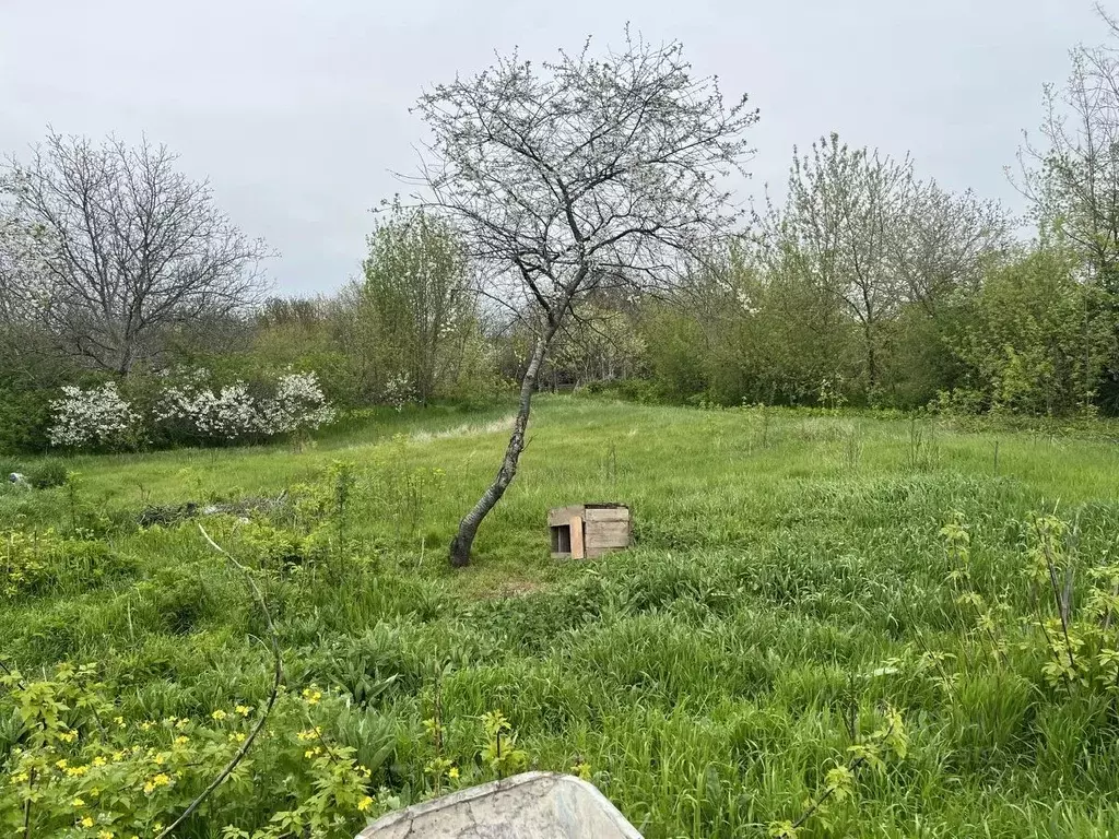 Помещение свободного назначения в Краснодарский край, Новокубанский ... - Фото 1