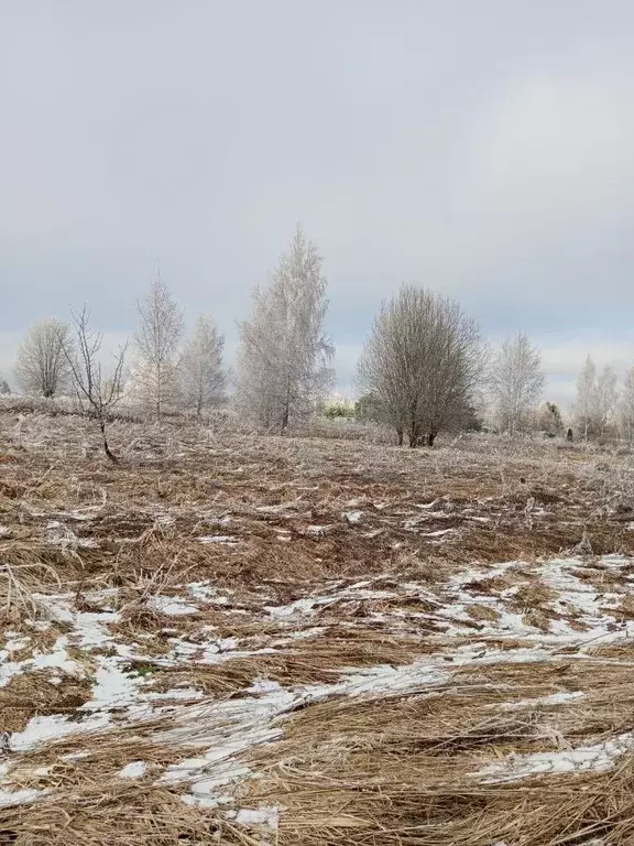 Участок в Московская область, Солнечногорск городской округ, д. Федино ... - Фото 0