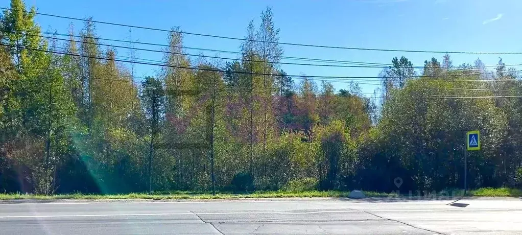 Участок в Санкт-Петербург, Санкт-Петербург, Зеленогорск Выборгский ... - Фото 2