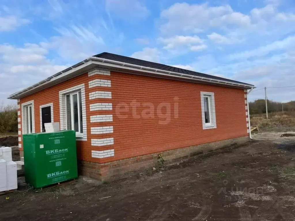 Дом в Ростовская область, Неклиновский район, с. Новобессергеневка ул. ... - Фото 2