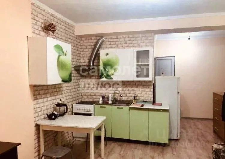 Студия Краснодарский край, Сочи городской округ, Дагомыс пгт ул. ... - Фото 1