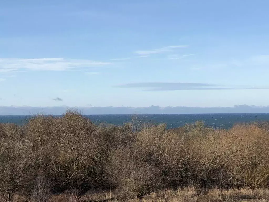 Участок в Калининградская область, Светлогорский городской округ, пос. ... - Фото 0