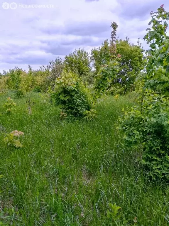 Участок в Задонский район, Донской сельсовет, деревня Галичья Гора ... - Фото 1