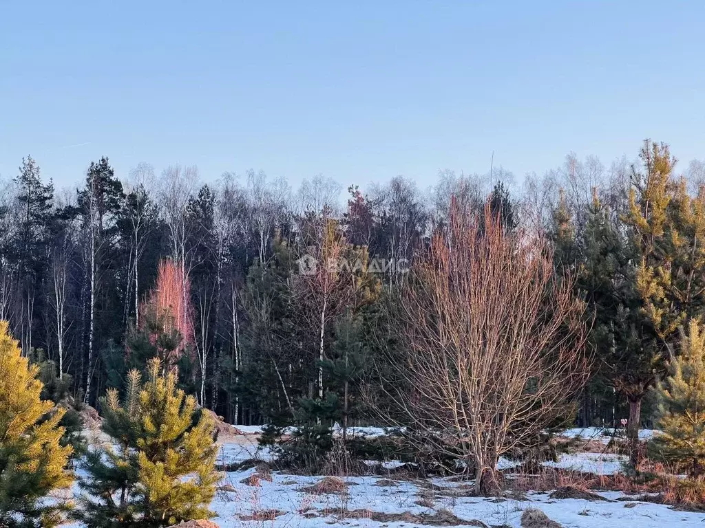 Участок в Владимирская область, Ковровский район, Доброград ... - Фото 0