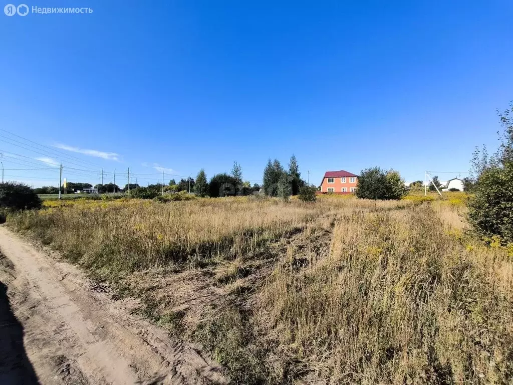 Участок в деревня Добрунь, садоводческое некоммерческое товарищество ... - Фото 2