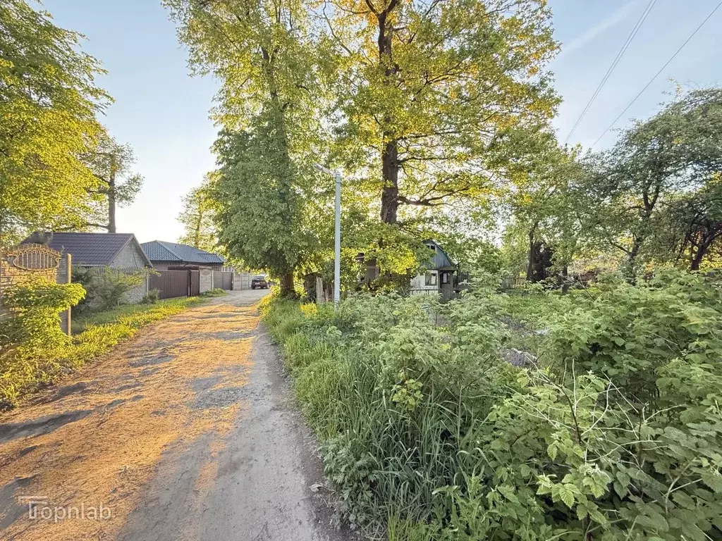 Участок в Калининградская область, Гурьевск Урожай СНТ, пер. Дубки ... - Фото 1