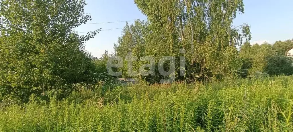 Участок в Брянская область, Брянский район, Мичуринское с/пос, ... - Фото 2